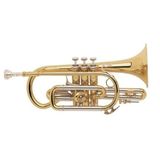 Kèn Cornet Bb Vincent Bach 184 ML Laquered