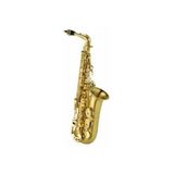 Kèn Saxophone Alto Selmer Jubilee SA80 II BGG
