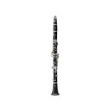 Kèn Clarinet Bb Buffet Crampon BC2512F-2-0GB E12F 17/6