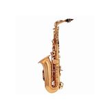 Kèn Saxophone Alto Buffet Crampon BC8401-1-0