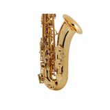 Kèn Saxophone Tenor Selmer Reference 54