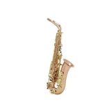 Kèn Saxophone Alto Buffet Crampon BC2525-7B-0