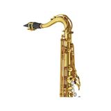 Kèn Saxophone Tenor Yamaha YTS-82Z