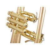 Kèn Flugelhorn Yamaha YFH-8310 ZG