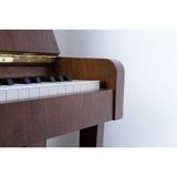 Đàn Piano Upright Petrof P 118 P1