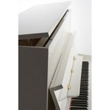 Đàn Piano Upright Petrof P 122 N2