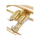 Kèn Flugelhorn Yamaha YFH-8310 ZG