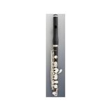 Kèn Piccolo Bulgheroni 401-R-GS Grenadille