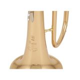 Kèn Flugelhorn Yamaha YFH-8310 ZG