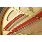 Đàn Piano Grand ANT Petrof 225