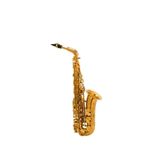 Kèn Saxophone Alto Selmer Reference, Gold