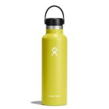  Hydro Flask Standard Flex Cap 