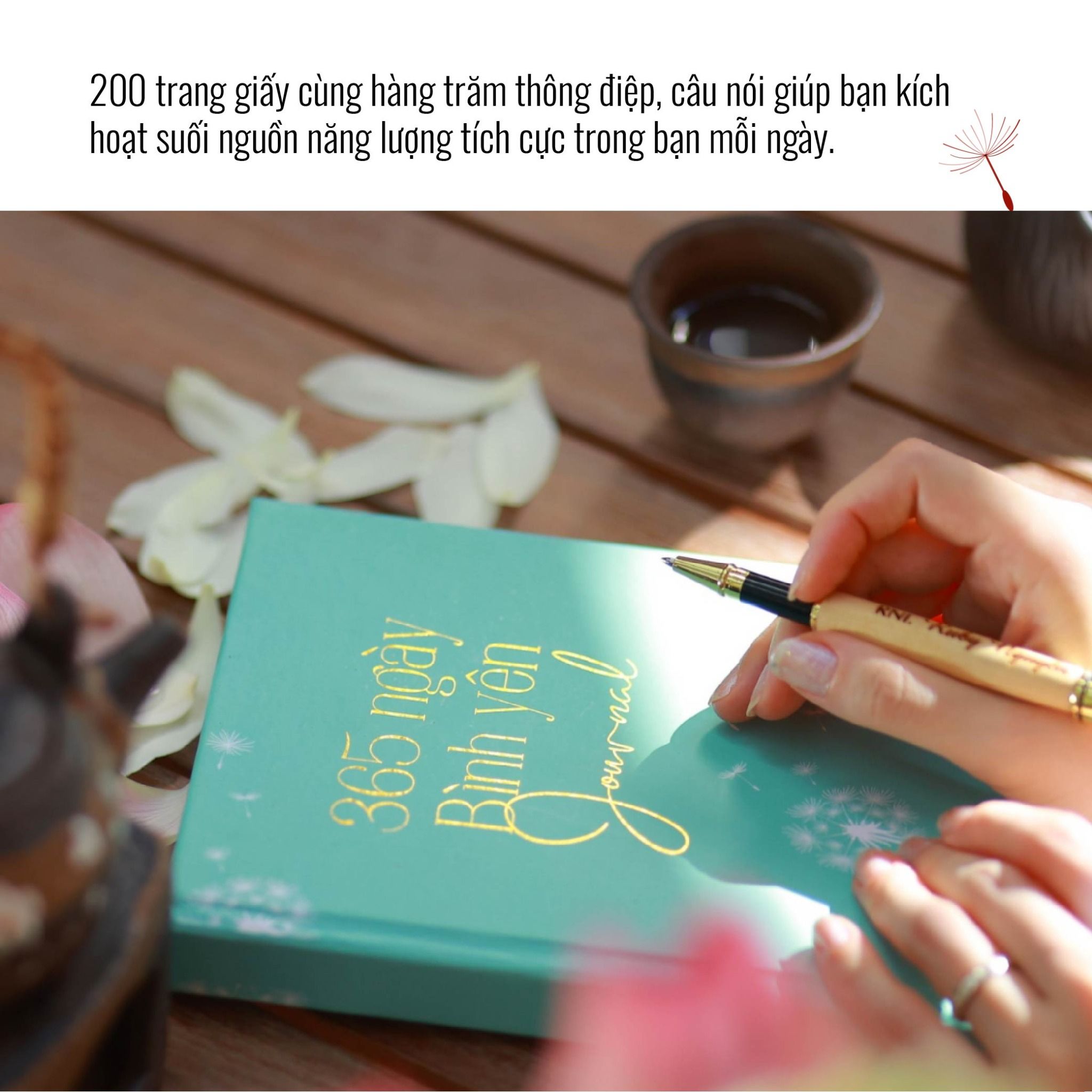 Nhật Ký 365 Ngày Bình Yên