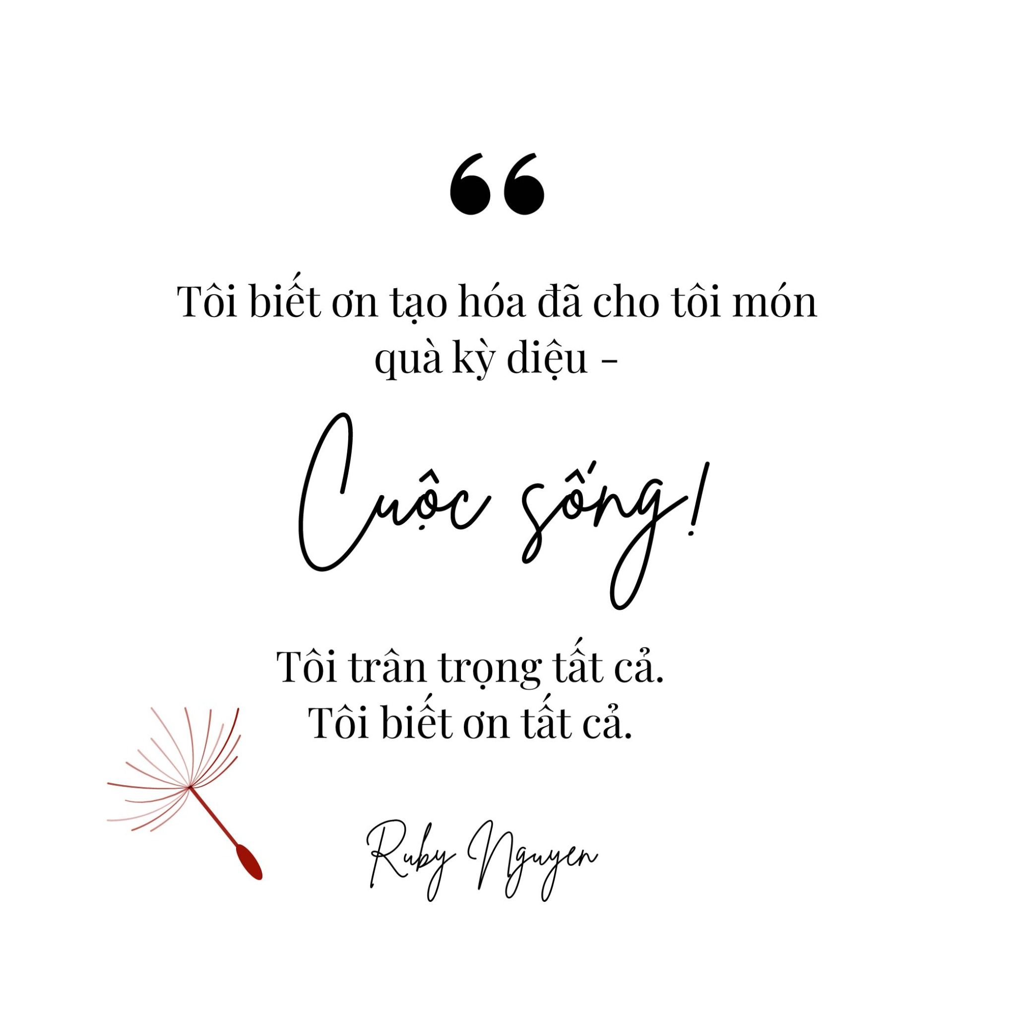 Bộ Thẻ Lòng Biết Ơn