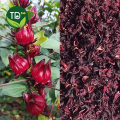 Hoa Atiso đỏ khô (Hoa bụp giấm/Hoa Hibiscus) loại 1, nguyên liệu pha trà, chưng yến, làm siro