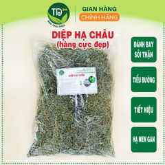 Diệp hạ châu (cây chó đẻ răng cưa), đánh bay sỏi thận, tiểu đường, hỗ trợ hạ men gan & cải thiện sức khỏe gan