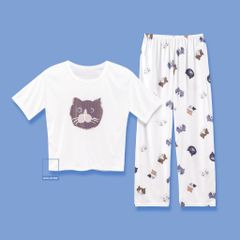 Set đồ ngủ thun áo ngắn tay, quần dài, họa tiết mèo và thỏ dễ thương BOM SISTER DN4210