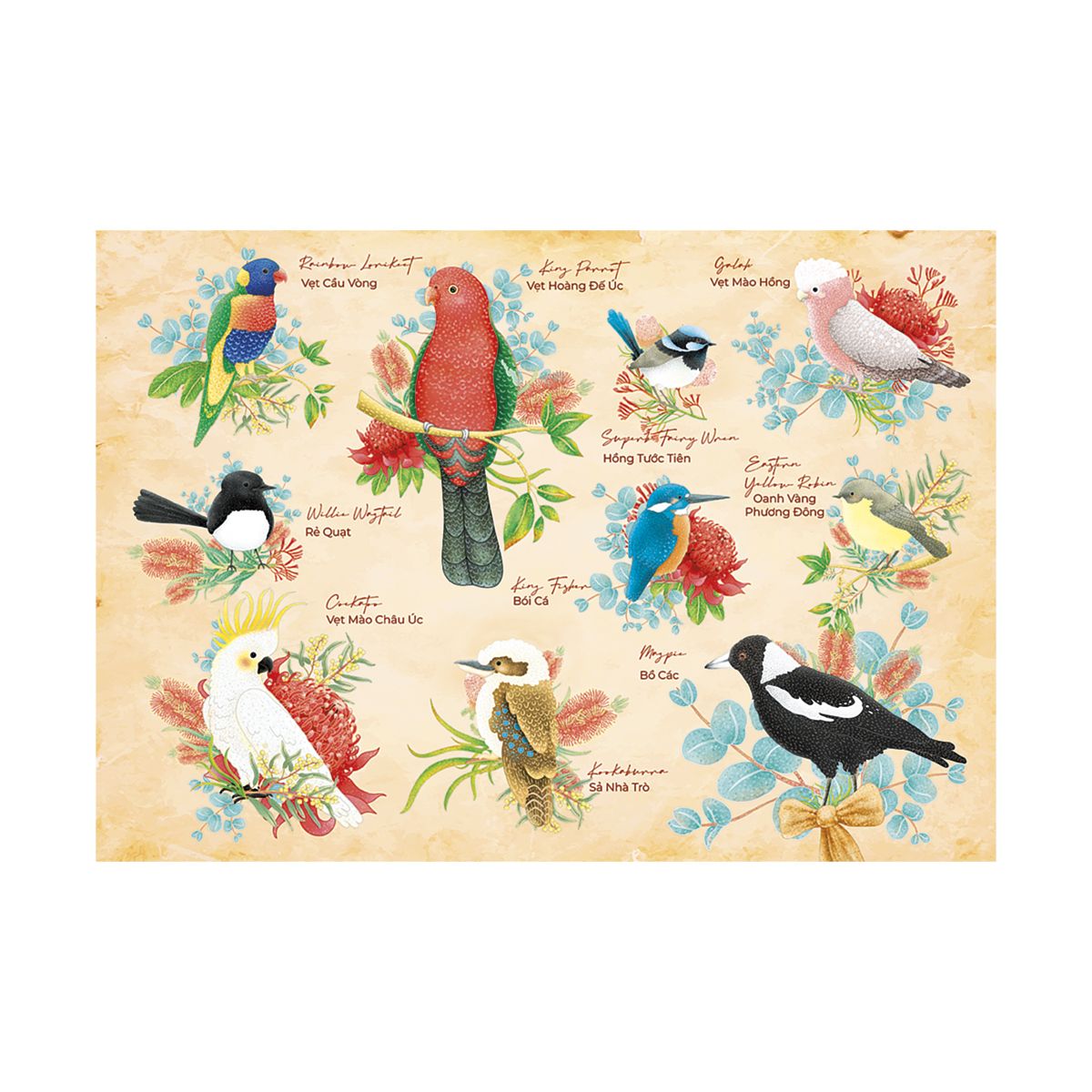  Xếp Hình 200 Miếng - Loài Chim Ở Châu Úc 