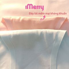 Combo 5 quần lót nữ su iMerry cạp cao,basic nhiều màu dễ phối đồ vải su lạnh mềm mại mỏng nhẹ VQ028A