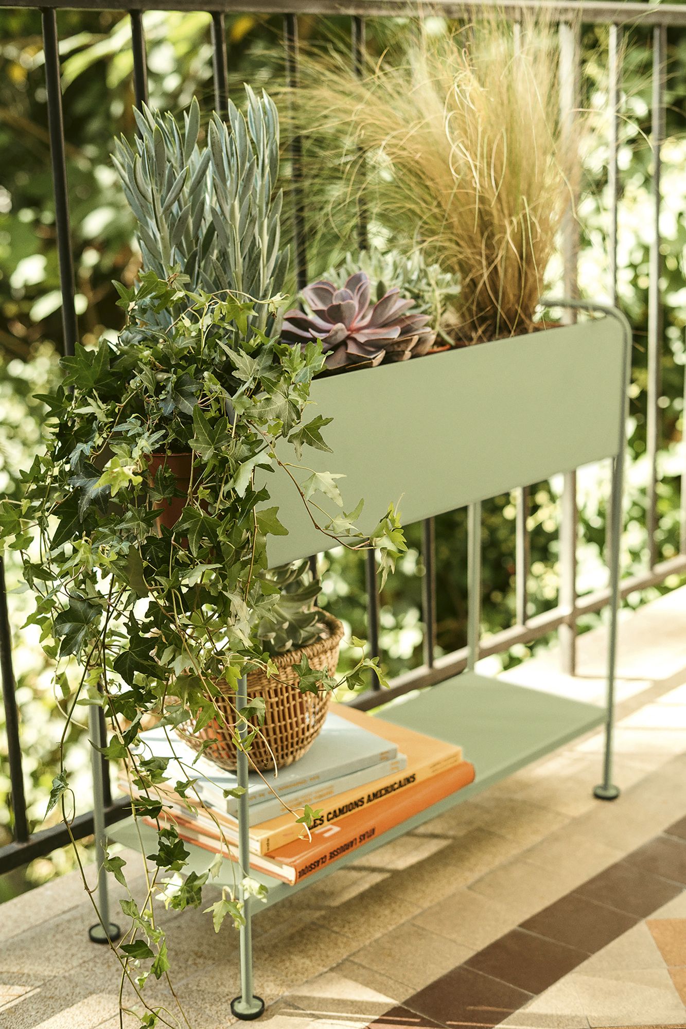 Kệ để cây PICOLINO H63