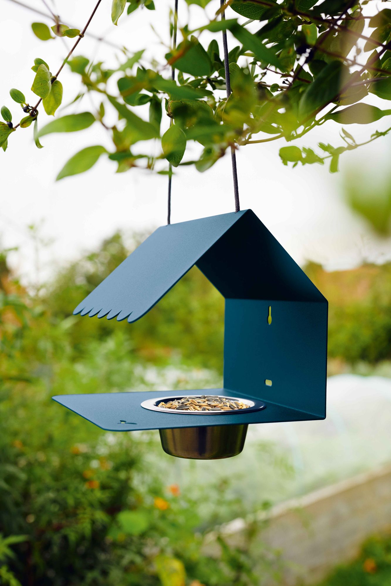 PICOTI Bird-feeder