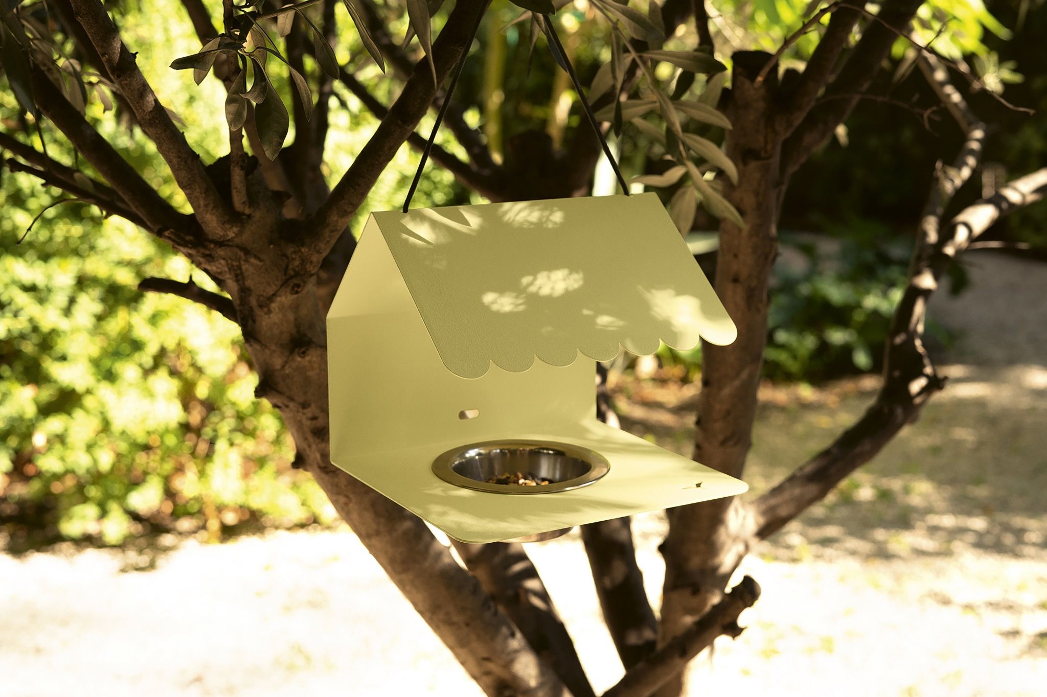 PICOTI Bird-feeder