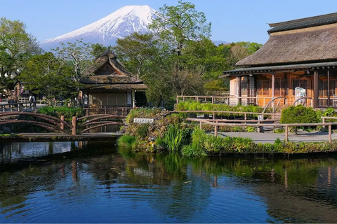 HCM: TOKYO - FUJI - 18/5 hết tháng 6