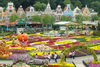 HCM: CHƯƠNG TRÌNH DU LỊCH HÀN QUỐC MÙA HÈ SEOUL - NAMI - EVERLAND