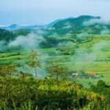  CAO NGUYÊN VÂN HÒA - BB FARM - VƯỜN ĐỎ BỐN BÌNH - CANARY GARDEN (1 Ngày) 