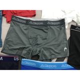 Quần Lót Poly Boxer dạng đùi Nam Thể Thao Chuyên cho người tập Gym thun lạnh Hàn Quốc Head, Kappa, K-Swiss