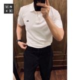 Áo Thun Nam POLO SHIRT LCST GOLF BASIC TRƠN VIỀN VÀNG Form Slimfit khuy Khắc Chữ xịn Logo Xanh thêu hàng xuất xịn