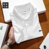 Áo Thun Nam POLO SHIRT LCST GOLF BASIC TRƠN VIỀN VÀNG Form Slimfit khuy Khắc Chữ xịn Logo Xanh thêu hàng xuất xịn