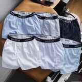 Quần Short Ngủ Nam Cá Sấu LCST họa tiết nhiều màu xuất xịn cực sang Có Big Size