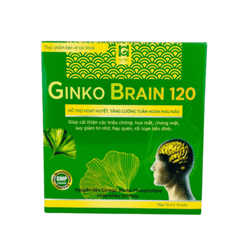 Viên Uống Tăng Cường Tuần Hoàn Máu Não Ginko Brain 120 (Hộp 10 vỉ x 10 viên)