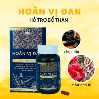 Viên uống bổ thận, giảm tiểu đêm HOÀN VỊ ĐAN (Hộp 30 viên)