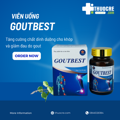 Viên uống Hỗ Trợ Trị Gout, Thải Acid Uric GOUTBEST (Lọ 30 viên)