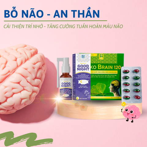 Combo Bổ Não Ngủ Ngon: Good Night & Ginko Brain 120