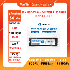 SSD SSTC OCEANIC WHITETIP E130 256GB M2 PCI-E GEN 3