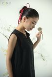 Swan Dress
