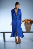 Silk Long Sleeve Shirt Dress