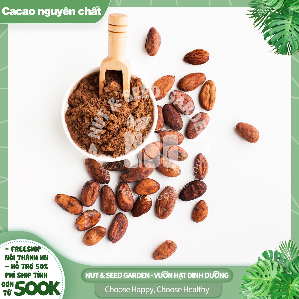 Cacao Heyday