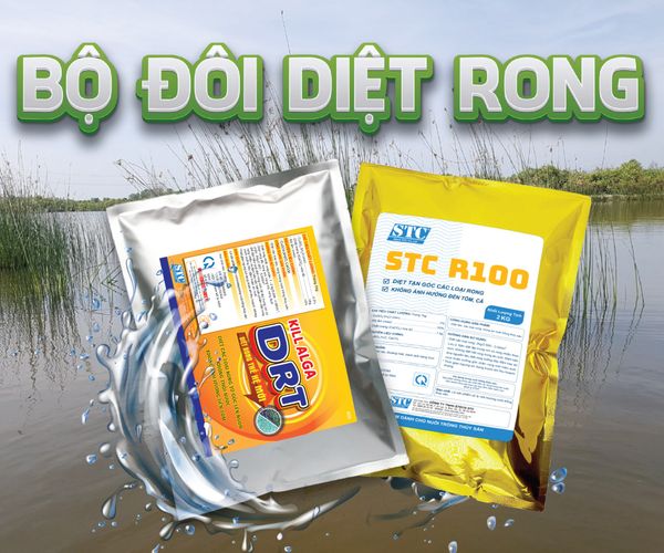 KILL ALGA DRT & STC R100-Bộ đôi diệt rong tận gốc, không ảnh hưởng đến tôm, không gây thối nước