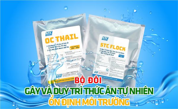 STC FLOCK & OC THAIL- Bộ đôi gây và duy trì nguồn thức ăn tự nhiên, ổn định môi trường.