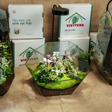 Đất kết dính - Mosswall Soil