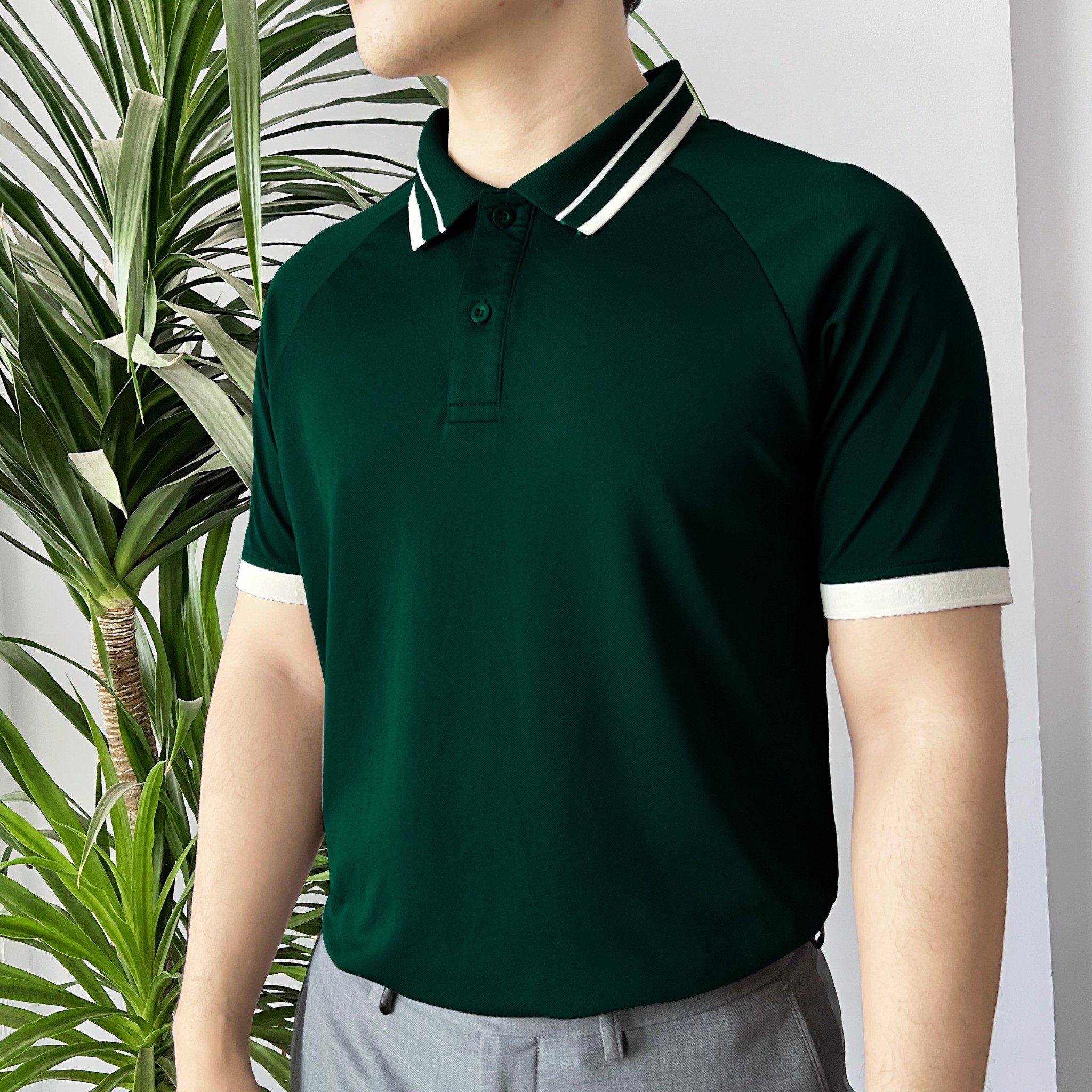 Polo Vincento No 245