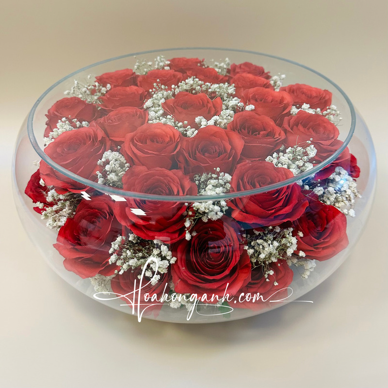  Hoa hồng cầu Đỏ CD35 