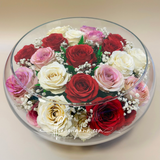  Hoa hồng cầu Mix màu CD35 