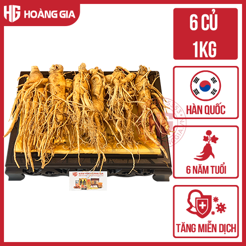 Sâm củ tươi Hàn Quốc 6 năm tuổi loại 6 củ 1 kg