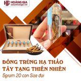 Đông Trùng Hạ Thảo Tây Tạng Thiên Nhiên 20 con 5gram Con đại