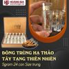 Đông Trùng Hạ Thảo Tây Tạng Thiên Nhiên 24 con 5gram Con trung